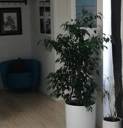 Apartment Penthouse Zadar